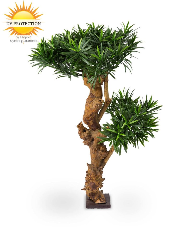 Design Kunstplant Podocarpus 70 cm UV Design Kunstplant Podocarpus 70 cm UV