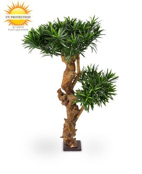 Design Kunstplant Podocarpus 70cm UV Design Kunstplant Podocarpus 70cm UV