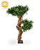 Design Kunstplant Podocarpus 70cm UV Design Kunstplant Podocarpus 70cm UV
