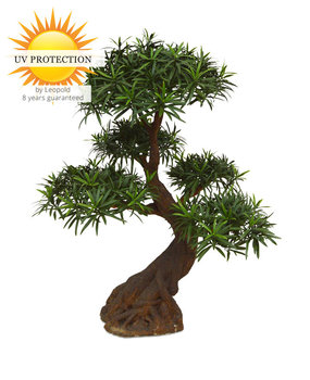 Deluxe kunstplant Podocarpus Bonsai x5 UV Deluxe kunstplant Podocarpus Bonsai x5 UV