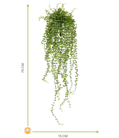 Outdoor artificial Callisia hanging plant 70 cm UV protected Outdoor artificial Callisia hanging plant 70 cm UV protected