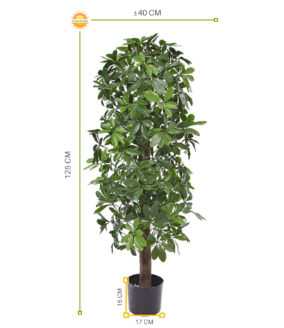 Kunstboom Schefflera kolom 120cm  UV voor buiten