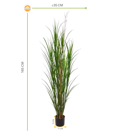 Outdoor artificial Reed Grass plant 165 cm UV protected Outdoor artificial Reed Grass plant 165 cm UV protected