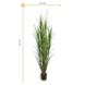 Outdoor artificial Reed Grass plant 165 cm UV protected Outdoor artificial Reed Grass plant 165 cm UV protected