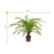 Outdoor Artificial Fern XXL 80 cm UV protected in pot Outdoor Artificial Fern XXL 80 cm UV protected in pot