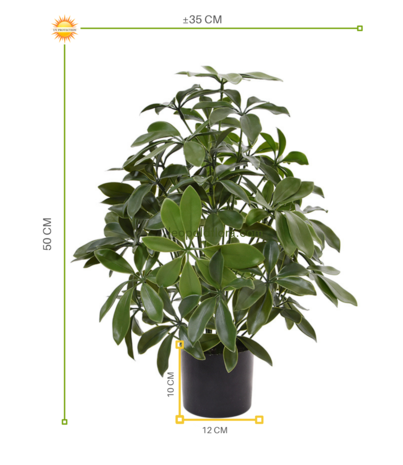 Artificial outdoor Schefflera plant 50 cm with UV protection Artificial outdoor Schefflera plant 50 cm with UV protection