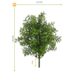 Artificial Eucalyptus bush 30 cm UV for outdoors Artificial Eucalyptus bush 30 cm UV for outdoors