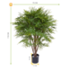 Artificial outdoor Mimosa plant 110 cm UV-protected Artificial outdoor Mimosa plant 110 cm UV-protected