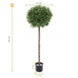 Outdoor Artificial Ilex ball on trunk 135 cm UV protected Outdoor Artificial Ilex ball on trunk 135 cm UV protected
