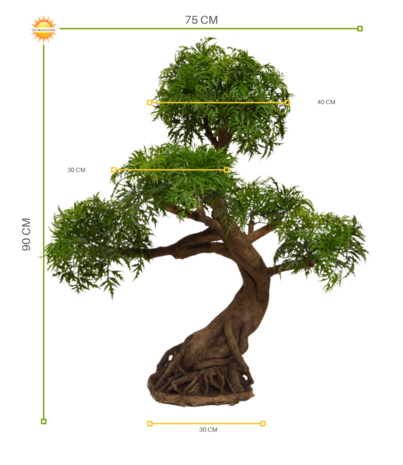 Kunstbonsai Ming Aralia  90 cm UV Kunstbonsai Ming Aralia  90 cm UV