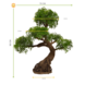 Outdoor Artificial Bonsai Ming Aralia 90 cm with UV protection Outdoor Artificial Bonsai Ming Aralia 90 cm with UV protection