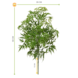 Kunststof Ming Aralia tak 50 cm UV Kunststof Ming Aralia tak 50 cm UV