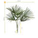Outdoor Artificial Raphis Palm bouquet 60 cm UV Outdoor Artificial Raphis Palm bouquet 60 cm UV