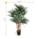 Buitenpalm Rhapis kunststof 110cm UV Buitenpalm Rhapis kunststof 110cm UV