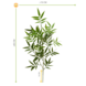 Artificial outdoor Bamboo branch 65 cm UV protected Artificial outdoor Bamboo branch 65 cm UV protected