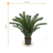 Outdoor Artificial Cycas Palm 80 cm UV protected Outdoor Artificial Cycas Palm 80 cm UV protected