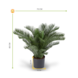 Kunst Palm Cycas 60 cm UV voor Balkon en Tuin Kunst Palm Cycas 60 cm UV voor Balkon en Tuin