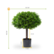 Artificial outdoor Boxwood 1/2 ball on trunk 65 cm UV protected Artificial outdoor Boxwood 1/2 ball on trunk 65 cm UV protected