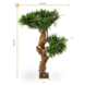 Design Kunstplant Podocarpus 70 cm UV Design Kunstplant Podocarpus 70 cm UV
