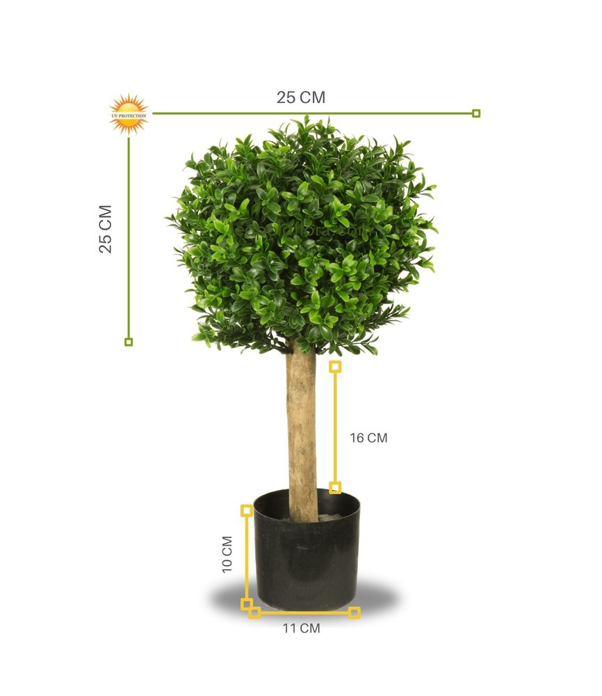 Kleine Kunst Buxus Bol 25 cm uv Kleine Kunst Buxus Bol 25 cm uv