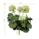 Geranium artificial bouquet 38cm White UV Geranium artificial bouquet 38cm White UV