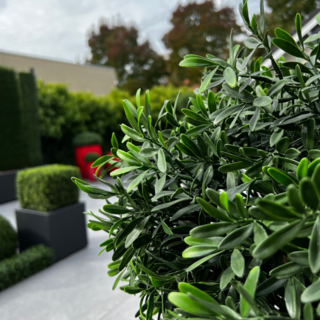 Artificial Ilex for outdoors