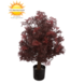 Buiten Kunstplant Ming Aralia Burgundy 90 cm in pot met geteste UV-protectie Buiten Kunstplant Ming Aralia Burgundy 90 cm in pot met geteste UV-protectie