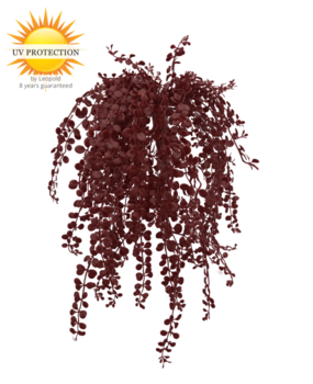 Buiten kunsthangplantje Dischidia burgundy uv-bestendig Buiten kunsthangplantje Dischidia burgundy uv-bestendig