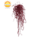 Buiten kunsthangplant Callisia burgundy 70 cm uv-bestendig Buiten kunsthangplant Callisia burgundy 70 cm uv-bestendig
