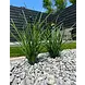 Artificial outdoor grass plant bouquet 40 cm UV Artificial outdoor grass plant bouquet 40 cm UV