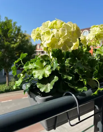 All-in one Kunst Geranium set  uv-bestendig All-in one Kunst Geranium set  uv-bestendig