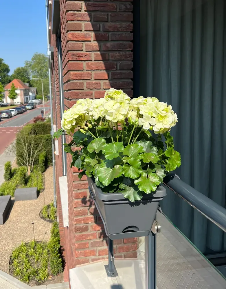 All-in one Kunst Geranium set  uv-bestendig All-in one Kunst Geranium set  uv-bestendig