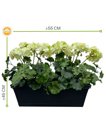 All-in one Kunst Geranium set  uv-bestendig All-in one Kunst Geranium set  uv-bestendig