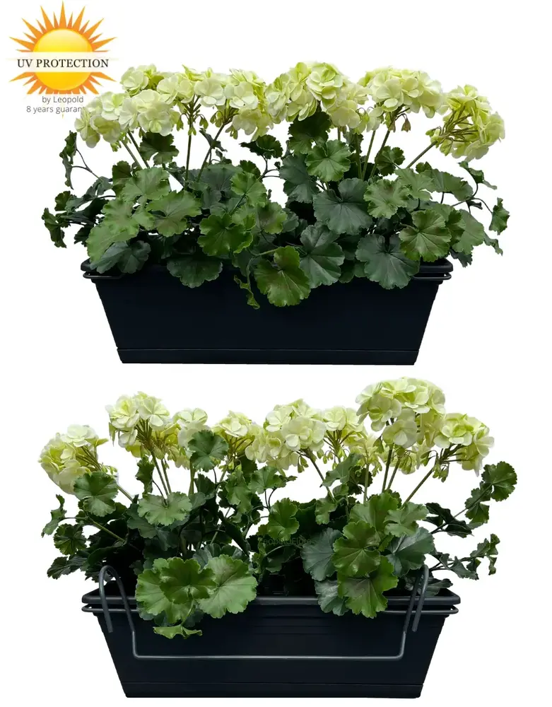 All-in one Kunst Geranium set  uv-bestendig All-in one Kunst Geranium set  uv-bestendig