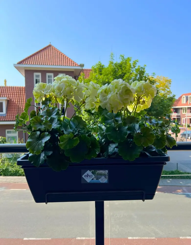 All-in one Kunst Geranium set  uv-bestendig All-in one Kunst Geranium set  uv-bestendig