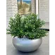 Artificial Eucalyptus bush 30 cm UV for outdoors Artificial Eucalyptus bush 30 cm UV for outdoors