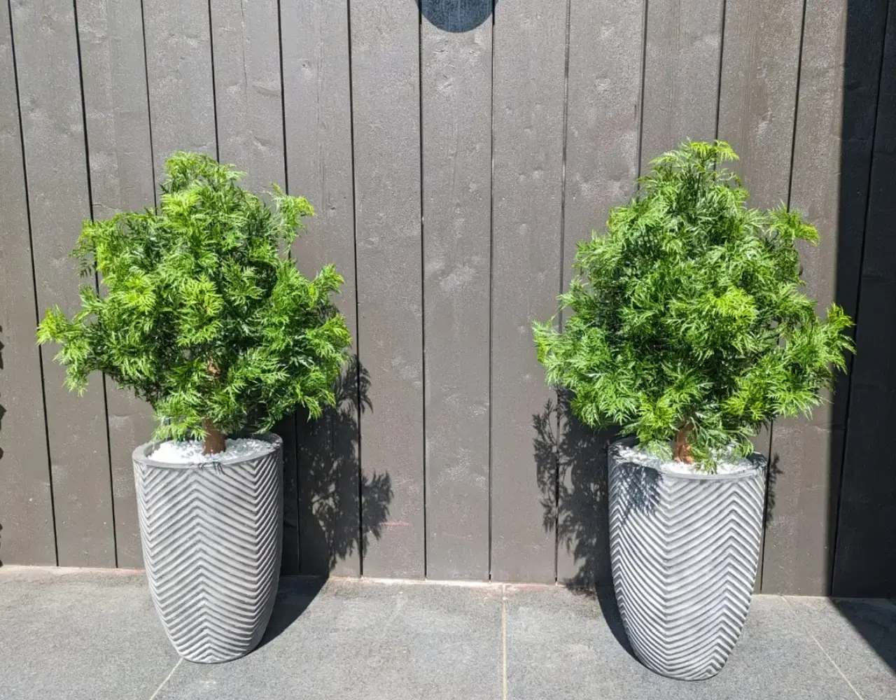 Outdoor Artificial Ming Aralia Green plant 90 cm uv-protected  in pot Outdoor Artificial Ming Aralia Green plant 90 cm uv-protected  in pot