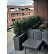Outdoor Artificial bush Taxus 90 cm with UV protection Outdoor Artificial bush Taxus 90 cm with UV protection