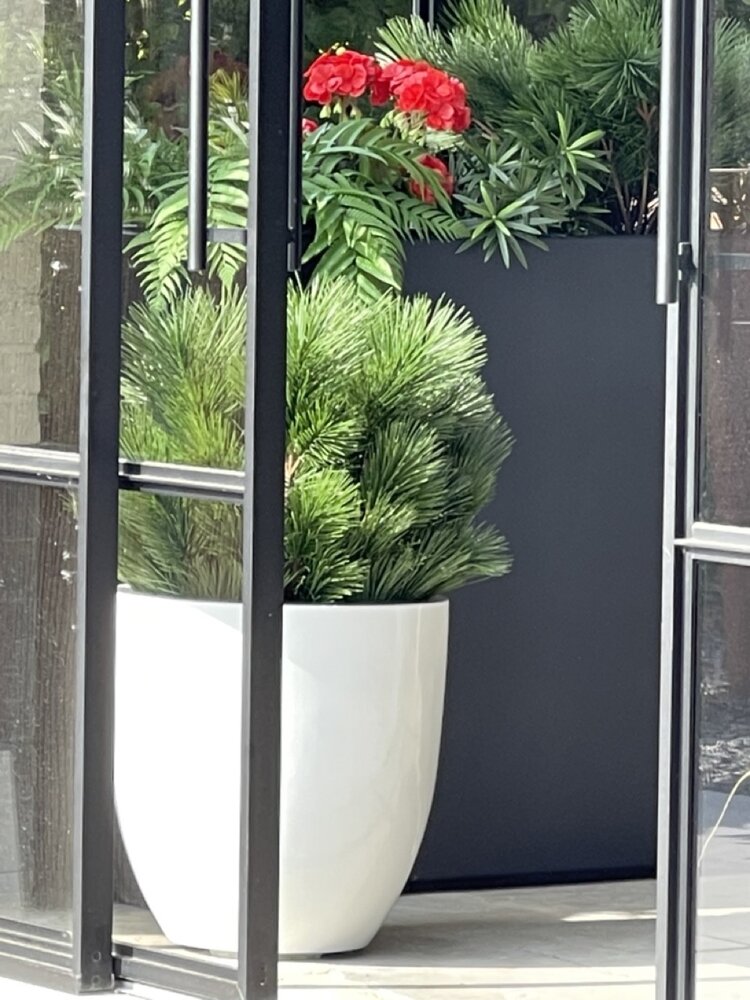 Kunststruik Pinus Den 60 cm UV  voor buiten Kunststruik Pinus Den 60 cm UV  voor buiten