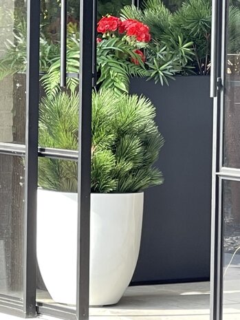 Kunststruik Pinus Den 60 cm UV  voor buiten Kunststruik Pinus Den 60 cm UV  voor buiten