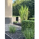 Hoge buiten kunstgras met UV protectie en 8 jaar kleurgarantie Hoge buiten kunstgras met UV protectie en 8 jaar kleurgarantie