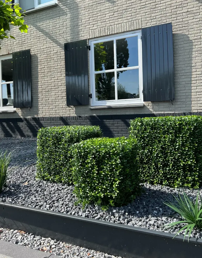 Kunst buxus voor buiten vierkant 40 cm Kunst buxus voor buiten vierkant 40 cm