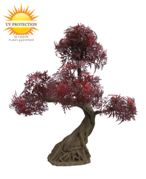 Ming Aralia Bonsai Burgundy - x 5 - UV-bestendig Ming Aralia Bonsai Burgundy - x 5 - UV-bestendig
