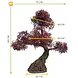Outdoor artificial Ming Aralia bonsai in burgundy with tested UV guarantee Outdoor artificial Ming Aralia bonsai in burgundy with tested UV guarantee