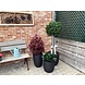 Outdoor Artificial Ilex ball on trunk 135 cm UV protected Outdoor Artificial Ilex ball on trunk 135 cm UV protected