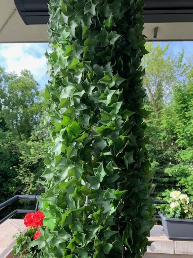 36 Artificial Outdoor English Ivy with 9 Vines - Hooks & Lattice