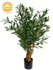 Olijf Bonsai kunstboompje Deluxe 90cm UV Olijf Bonsai kunstboompje Deluxe 90cm UV