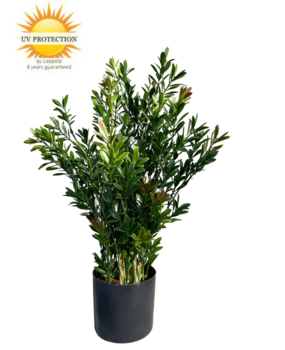 Outdoor Artificial Boxwood Shrub 50cm UV Outdoor Artificial Boxwood Shrub 50cm UV