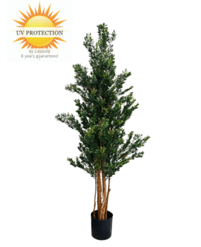 Hoge Kunstplant Buxus 165cm UV groen/rood Hoge Kunstplant Buxus 165cm UV groen/rood