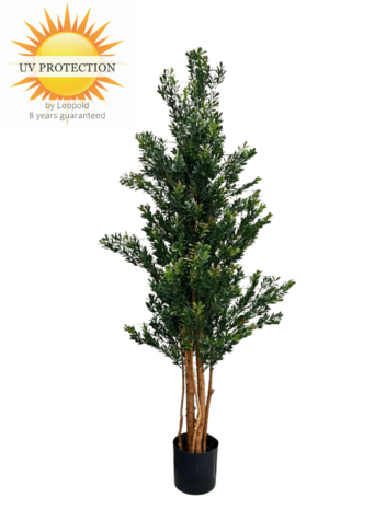 Hoge Kunstplant Buxus 165cm UV groen/rood Hoge Kunstplant Buxus 165cm UV groen/rood